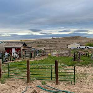 Pioneer Farms Summer Camp (APR-OCT)