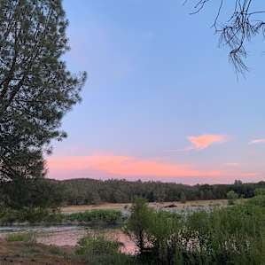 Shady Lower Yuba River Campsite 1