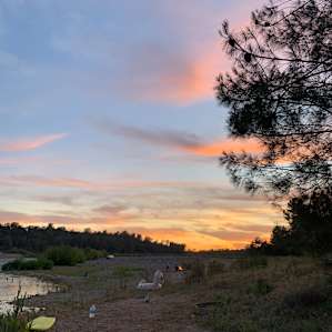 Shady Lower Yuba River Campsite 1