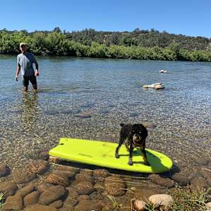 Shady Lower Yuba River Campsite 1