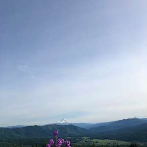 View from the fire pit area. Photo doesn't do it justice, but it's a heck of a view.