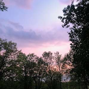 Creekwood Cottage