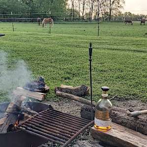 Farm Living at a Quiet Horse Rescue