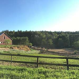 Beautiful view of the farm