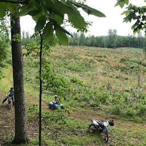 Sites are mostly on the edges of this field against the tree lines. trails go throughout