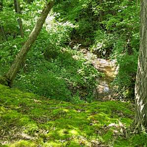 Fruitdale Farm Primitive Camping