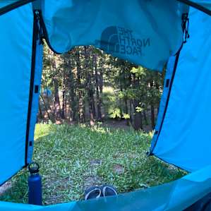the view from our tent looking out at a sea of pines!