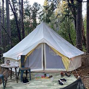 Yurt in the orchard