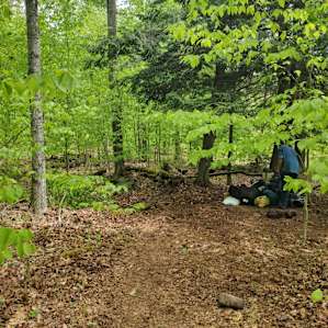 Taino Woods Sanctuary (upper camp)