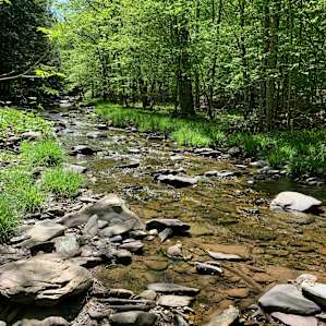 Jean's Falls