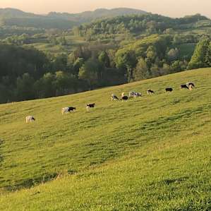 Beautiful pastoral setting!