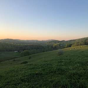 Sunset view