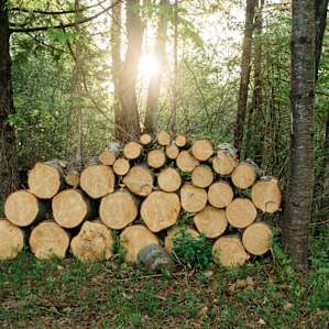 Firewood down the driveway