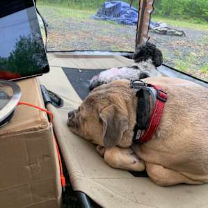 Hilltop Camping