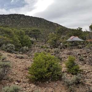 Campe Diem! Dispersed Tenting!