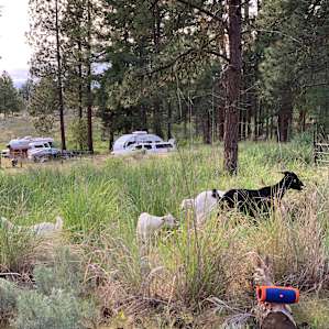 Rock-n-Woods Farm, Tonasket, WA