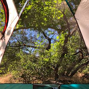 Campsite surround by trees, lifesaver in super hot weather.