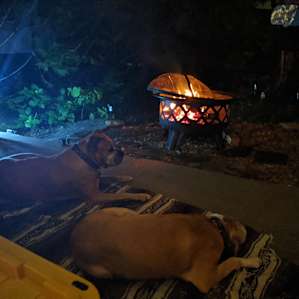 Beautiful Gatlinburg RV Site