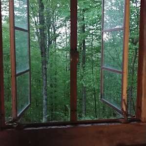 Forest Cabin Getaway