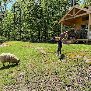 12 x 12 cabin w/ amazing mountain v