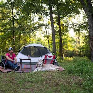 The campsites are shady and secluded