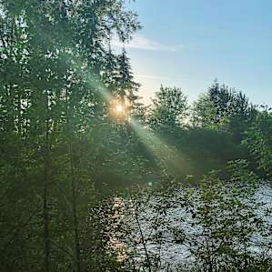 Molalla Ripple