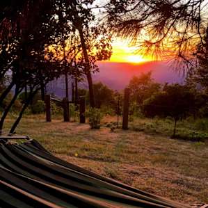 Quiet Retreat Camp near Shaver Lake