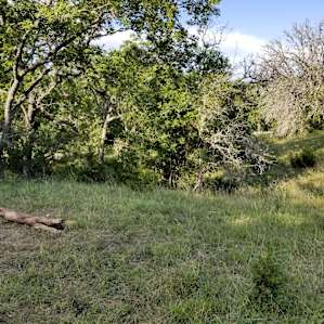 Weber Ranch Primitive Camping