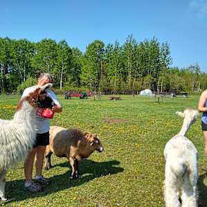 Hanging with the critters and Lois