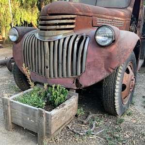 Wine Country Glamping; Farm Stay