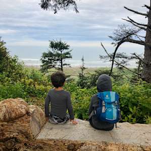 Wild Coast Lookout