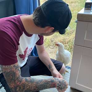 Downer Ranch Animal Sanctuary