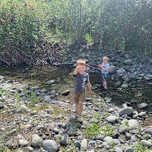 Creek by the river