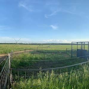 Beside the silo at Jako Farm