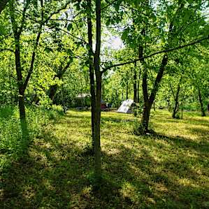Big Indian Creek campsite