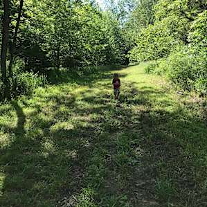Trail to campsite
