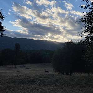 Downer Ranch Animal Sanctuary