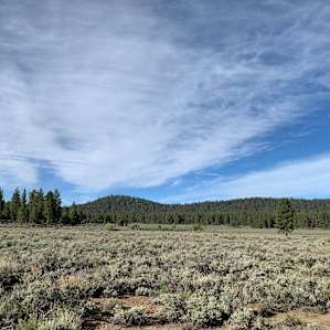 Holcomb Valley Ranch Campground