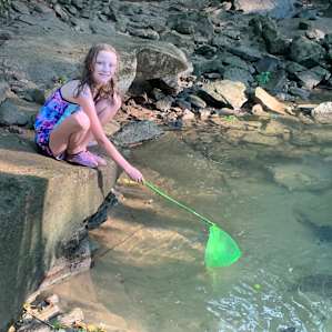 Summer Shoals Cabins