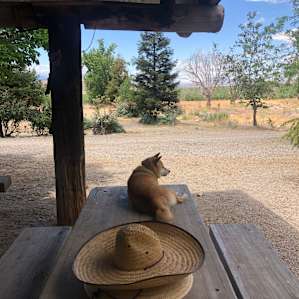 Rustic Old Hunt Club
