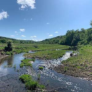 100 Acre Organic Farm