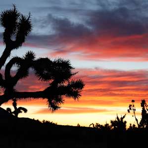 The most beautiful sunsets