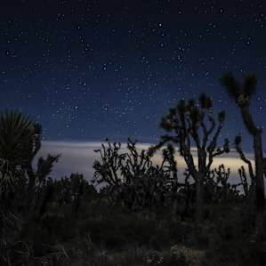 Incredible stars