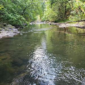 #4 Canvas Tent Creekside