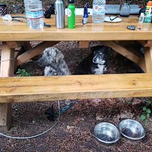 #4 Canvas Tent Creekside