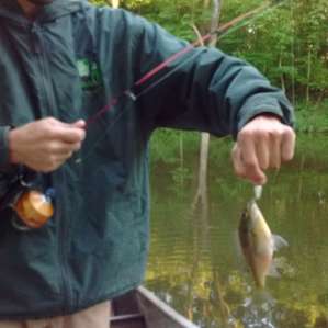 Fish were biting