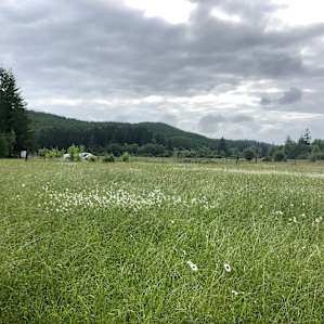 Lost Valley Farm Camp