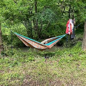 250 Acres Remote Forest w/ Trails