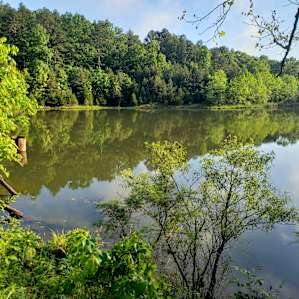 Pinebrook Lake
