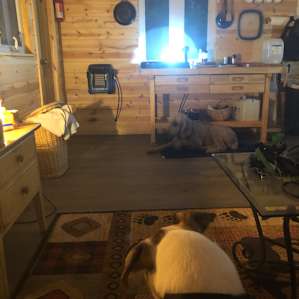 The Summit Cabin